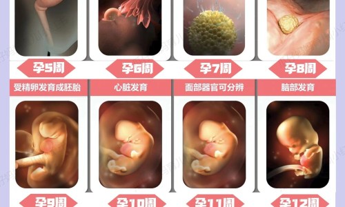 泼尼松减到一片会瘦吗-泼尼松服用期间减肥有效吗网 - 泼尼松减到半片最忌三种药,泼尼松服用期间减肥有效吗女性